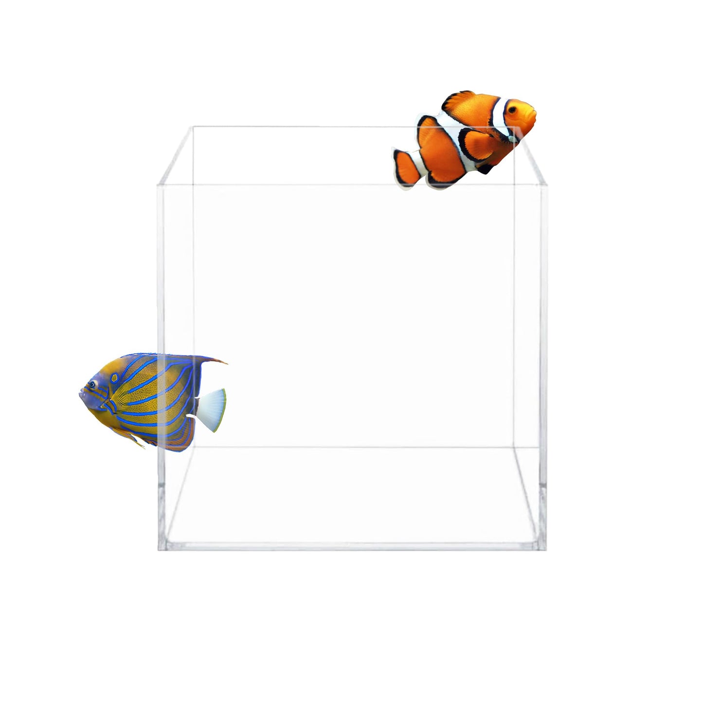 Aquatop 11.3 Gal Aquarium