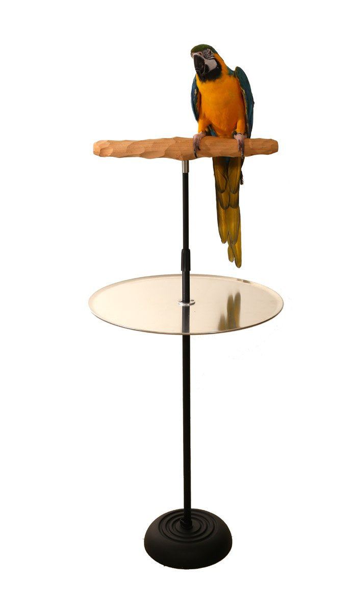 XL Parrot Training Perch with Potty Tray