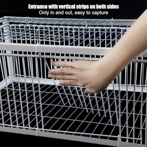 Pigeon Trap Cage 90x60x26cm
