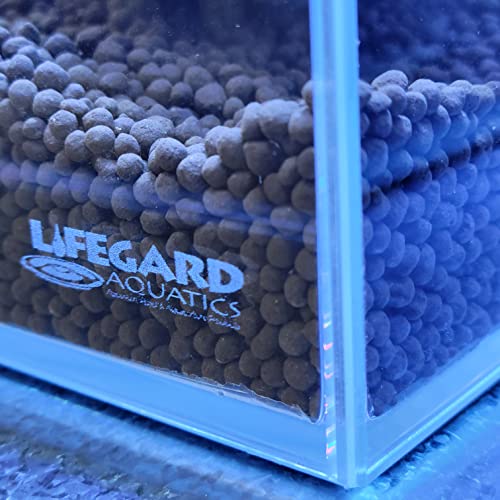 Lifegard 16-Gallon Glass Aquarium