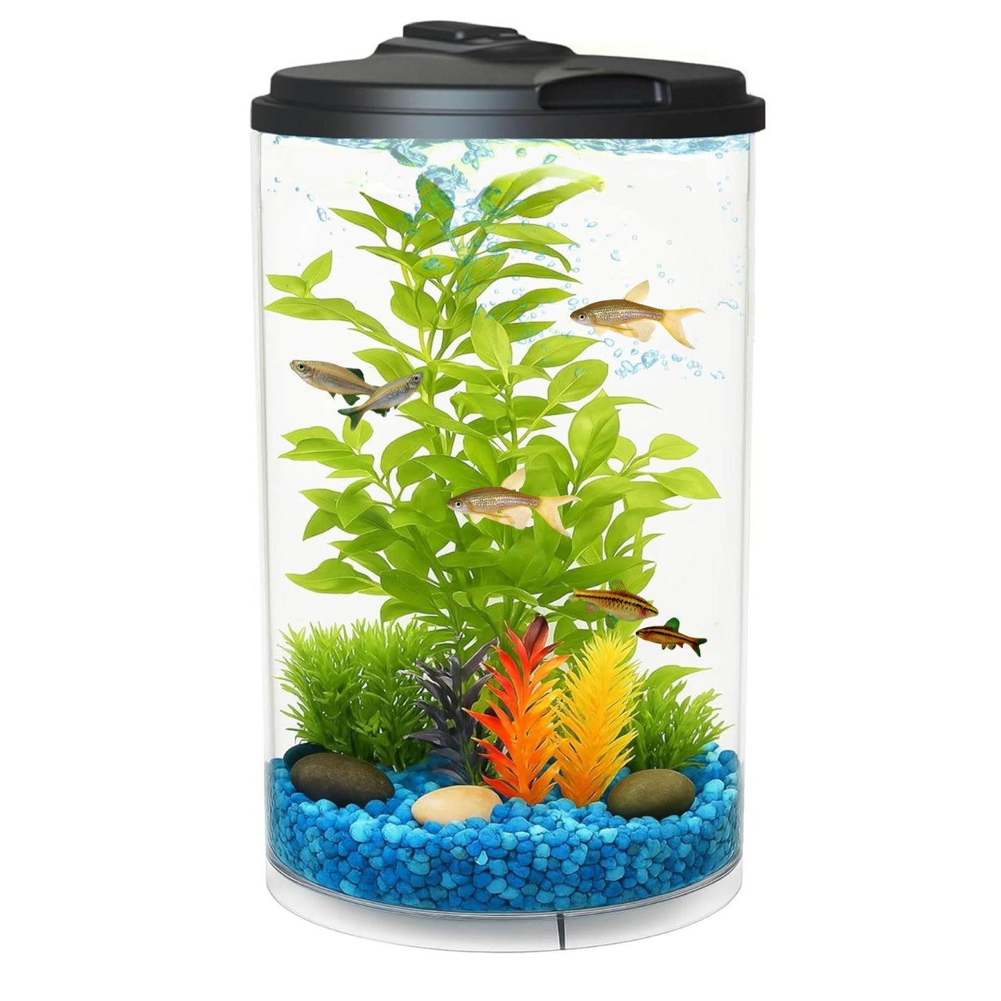 AquaView 360 6-Gal Fish Tank Kit