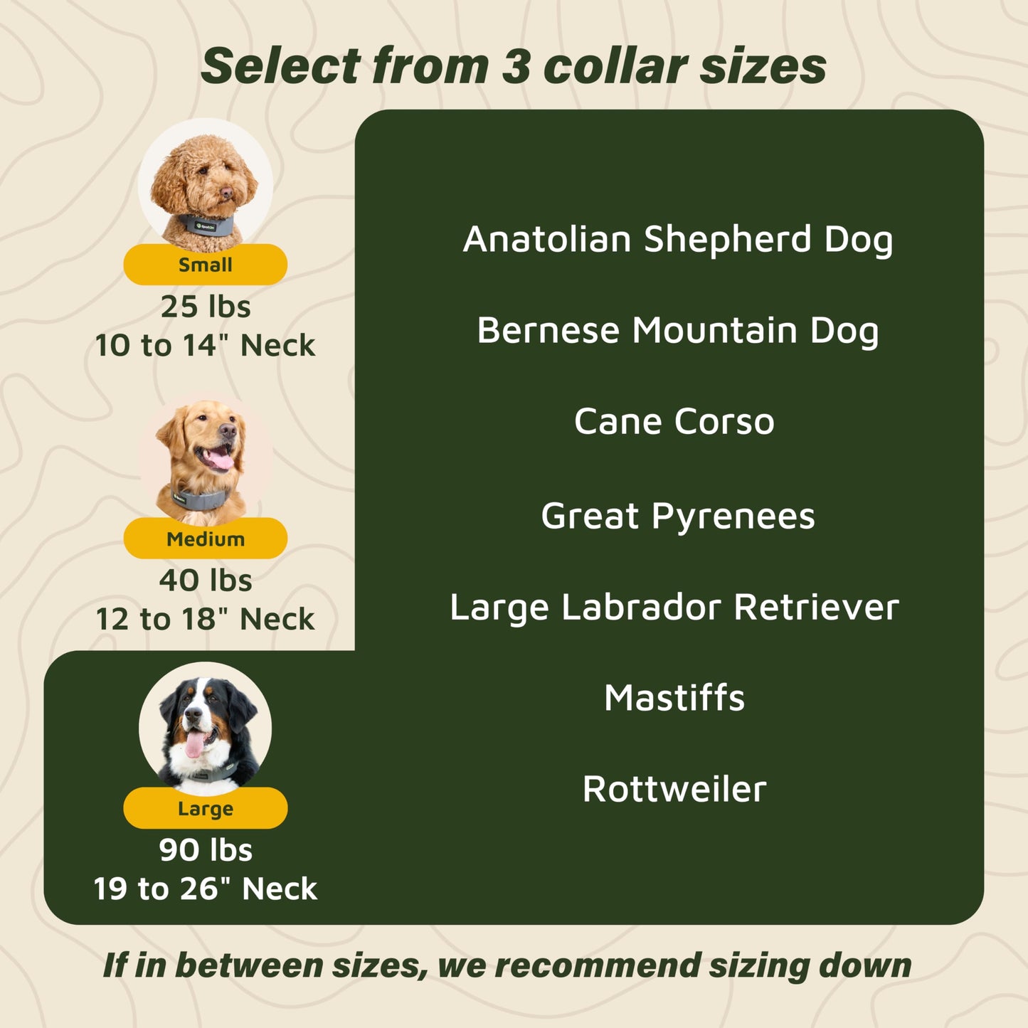 SpotOn GPS Wireless Dog Fence Collar, Accurate & Reliable, Unlimited Fences, Extended Battery Life Mode, No Subscription, Built in USA, Omni Collar Model, Large Dog Breed Neck Size 19"-26"