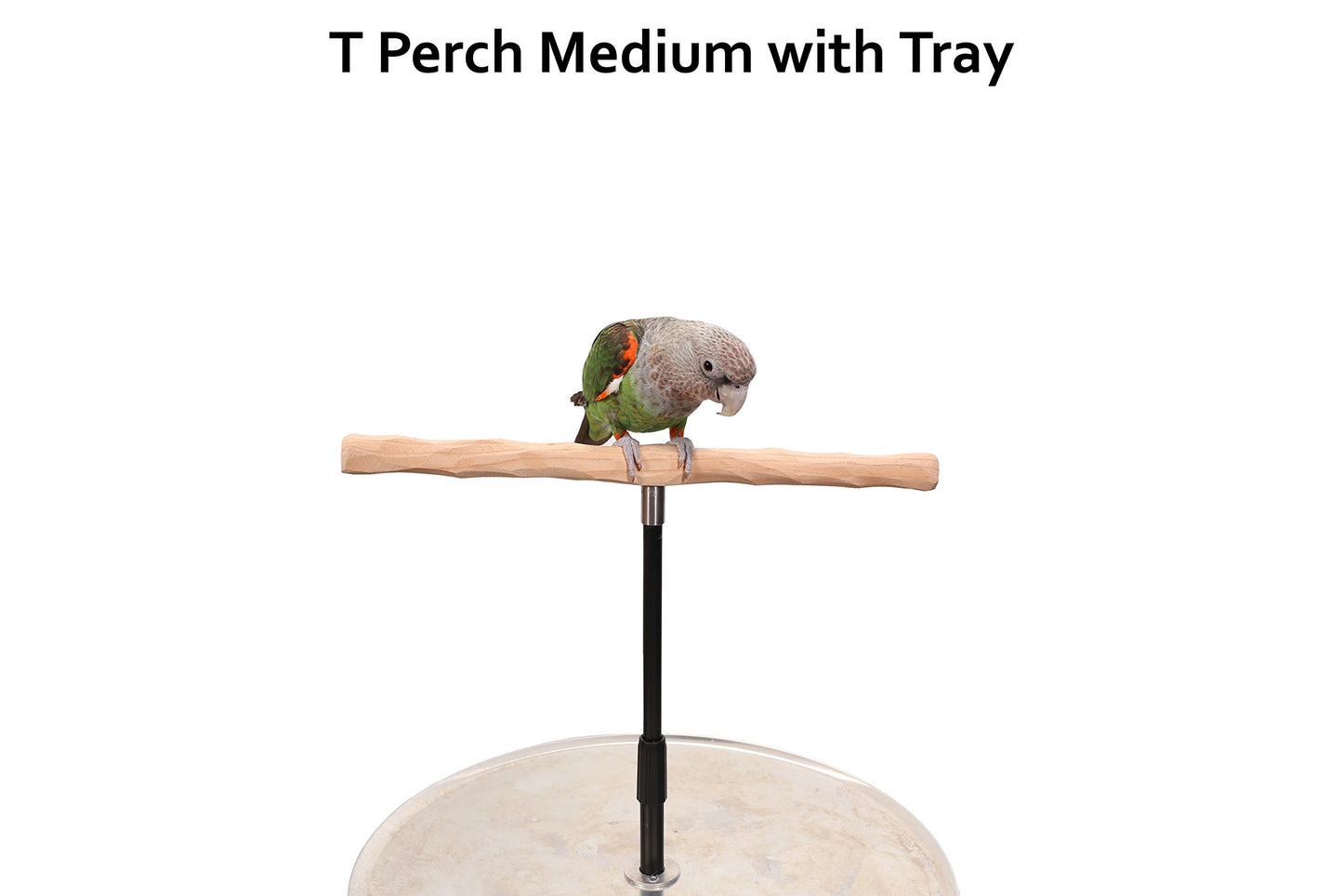 XL Parrot Training Perch with Potty Tray