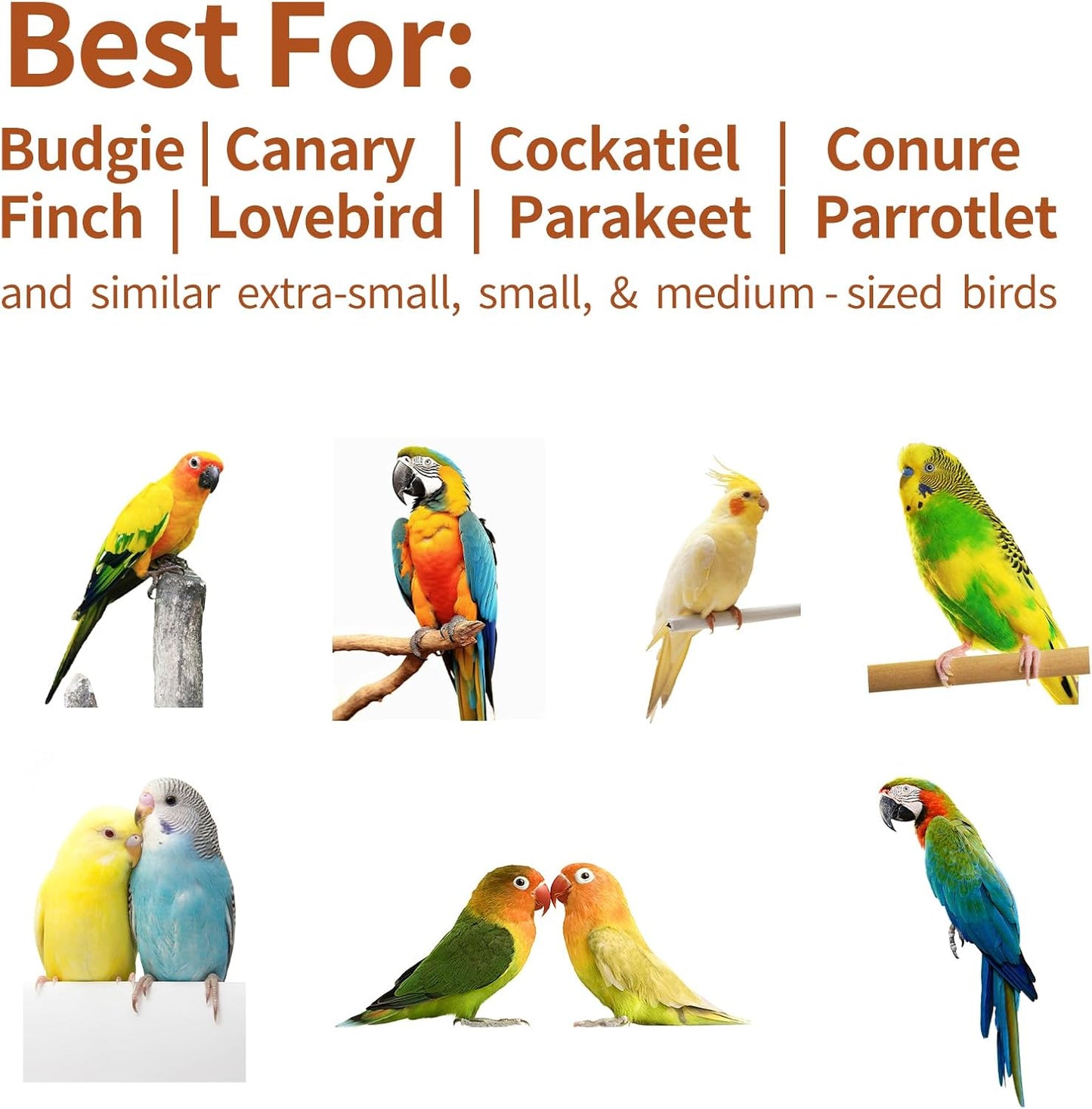 360° Rotating Bird Perch Toy for Small Birds