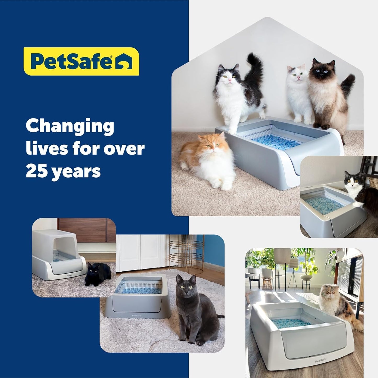 PetSafe ScoopFree Cat Litter 6-Pack