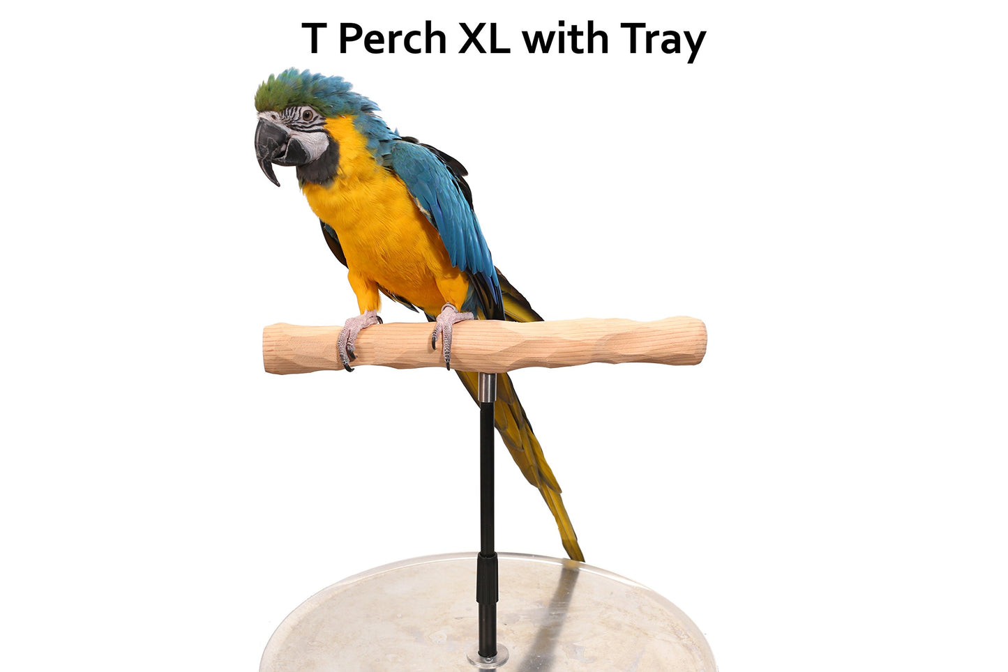 XL Parrot Training Perch with Potty Tray