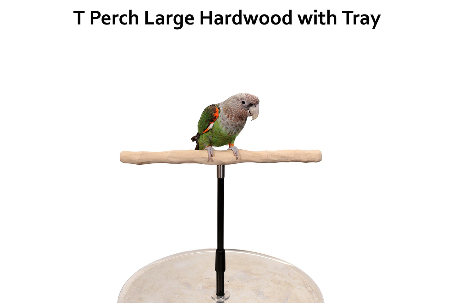 XL Parrot Training Perch with Potty Tray