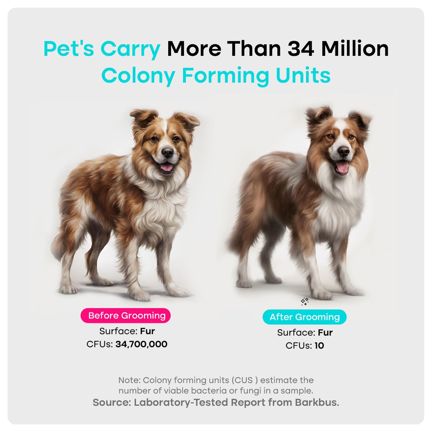Uproot 7-in-1 Pet Grooming Vacuum Kit