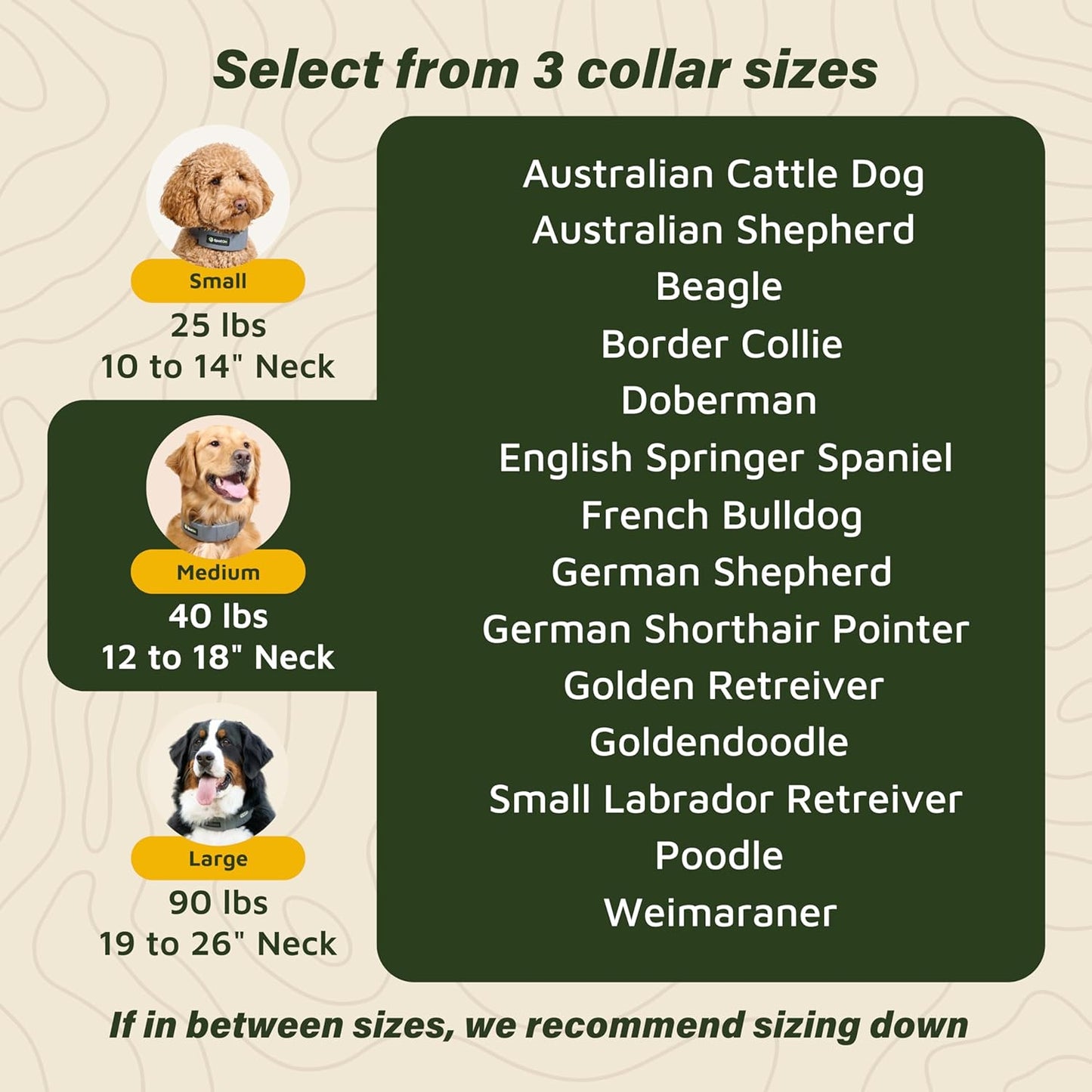 SpotOn GPS Wireless Dog Fence Collar, Accurate & Reliable, Unlimited Fences, Extended Battery Life Mode, No Subscription, Built in USA, Omni Collar Model, Large Dog Breed Neck Size 19"-26"