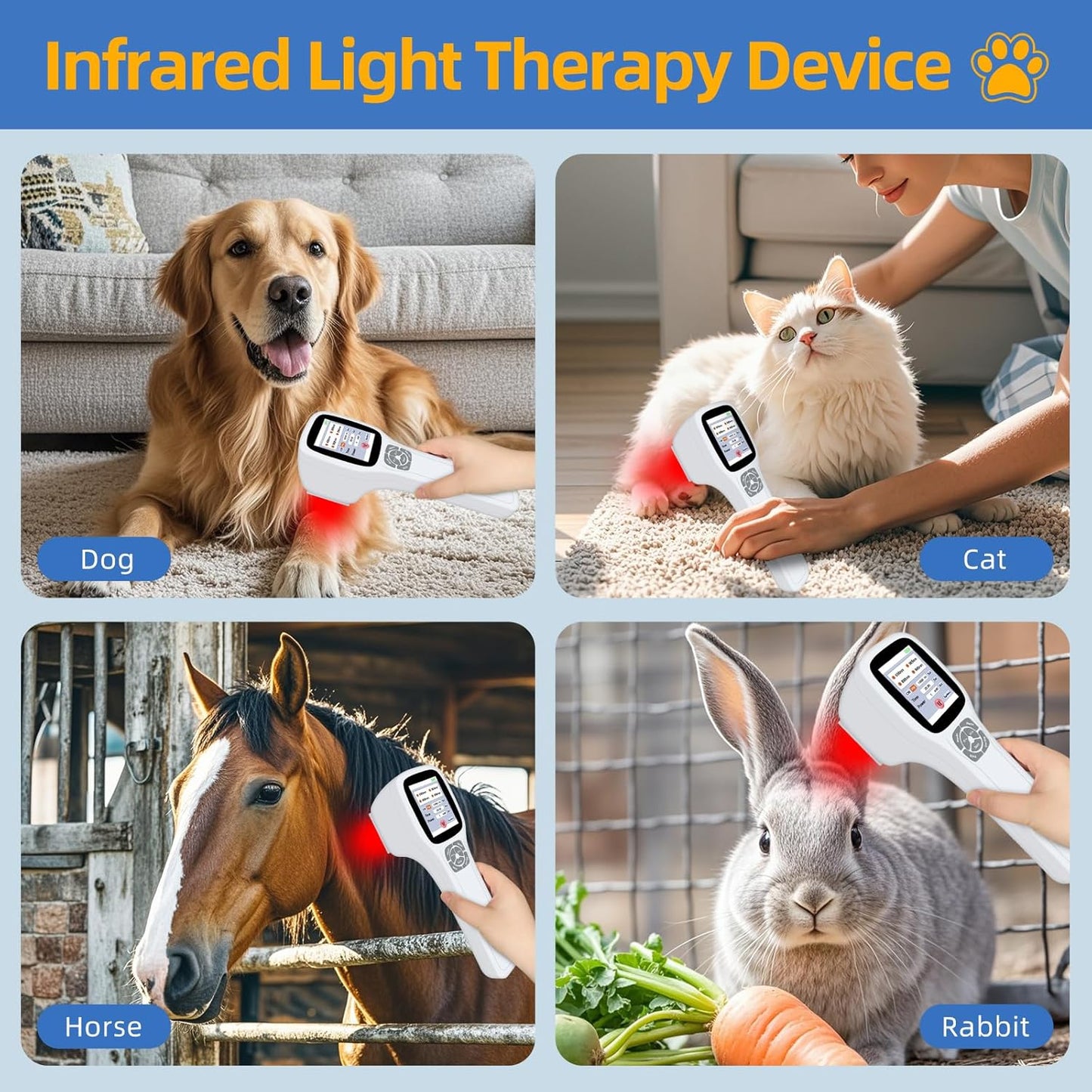 Pet Laser Therapy – Pain Relief & Healing