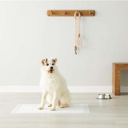 Puppy Pee Pads 100-Pack, 22"x22"