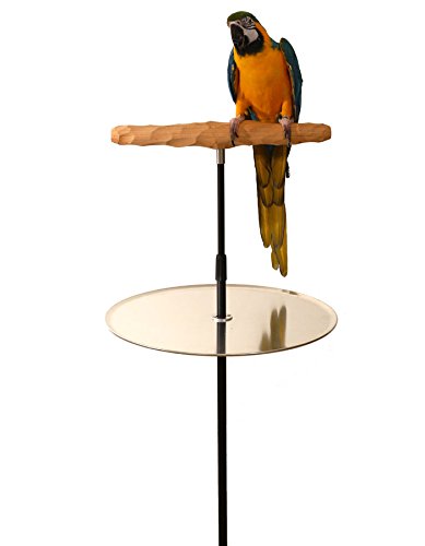 XL Parrot Training Perch with Potty Tray