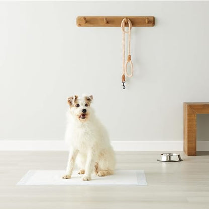 Puppy Pee Pads 100-Pack, 22"x22"