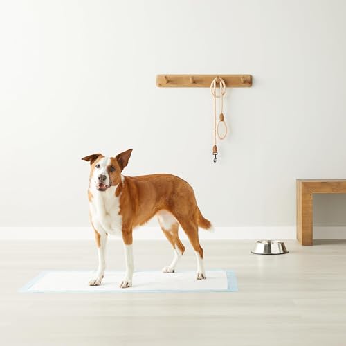 Puppy Pee Pads 100-Pack, 22"x22"