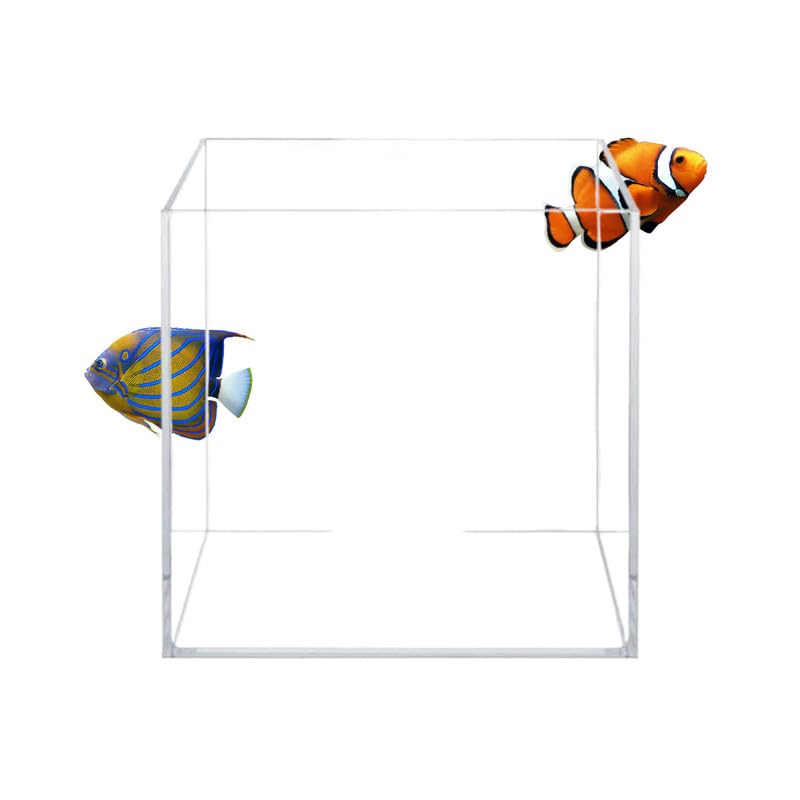 Aquatop 11.3 Gal Aquarium