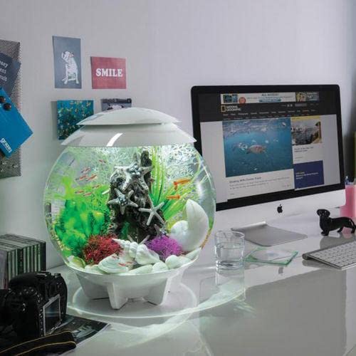 biOrb Halo 15 LED Tank, 4-Gal