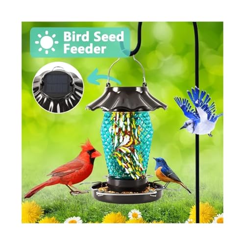 Solar Glass Bird Feeder (Style 2)