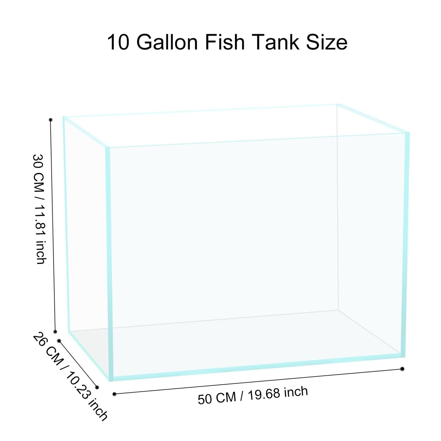 3 Gallon Glass Fish Tank