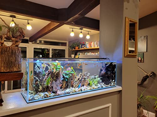 Lifegard 16-Gallon Glass Aquarium