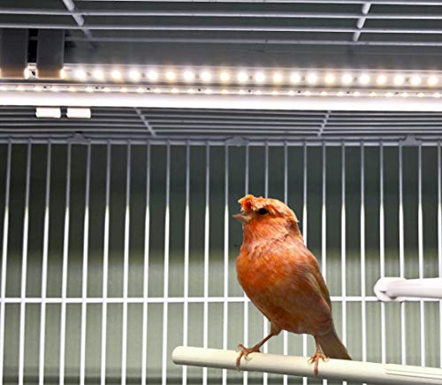 HappyBird 24" LED Light Bar 12-Pack