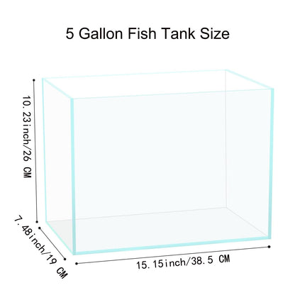 3 Gallon Glass Fish Tank