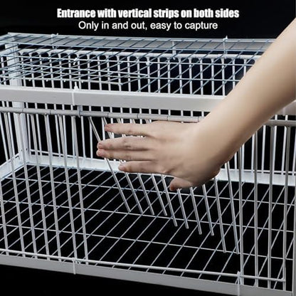 Pigeon Trap Cage 90x60x26cm