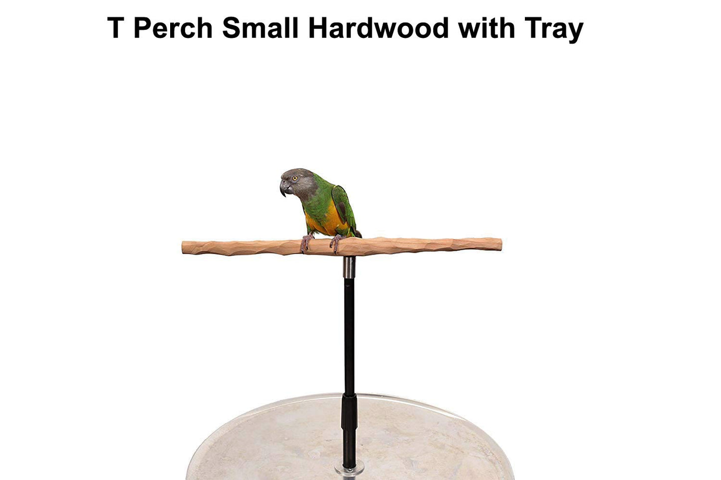 XL Parrot Training Perch with Potty Tray