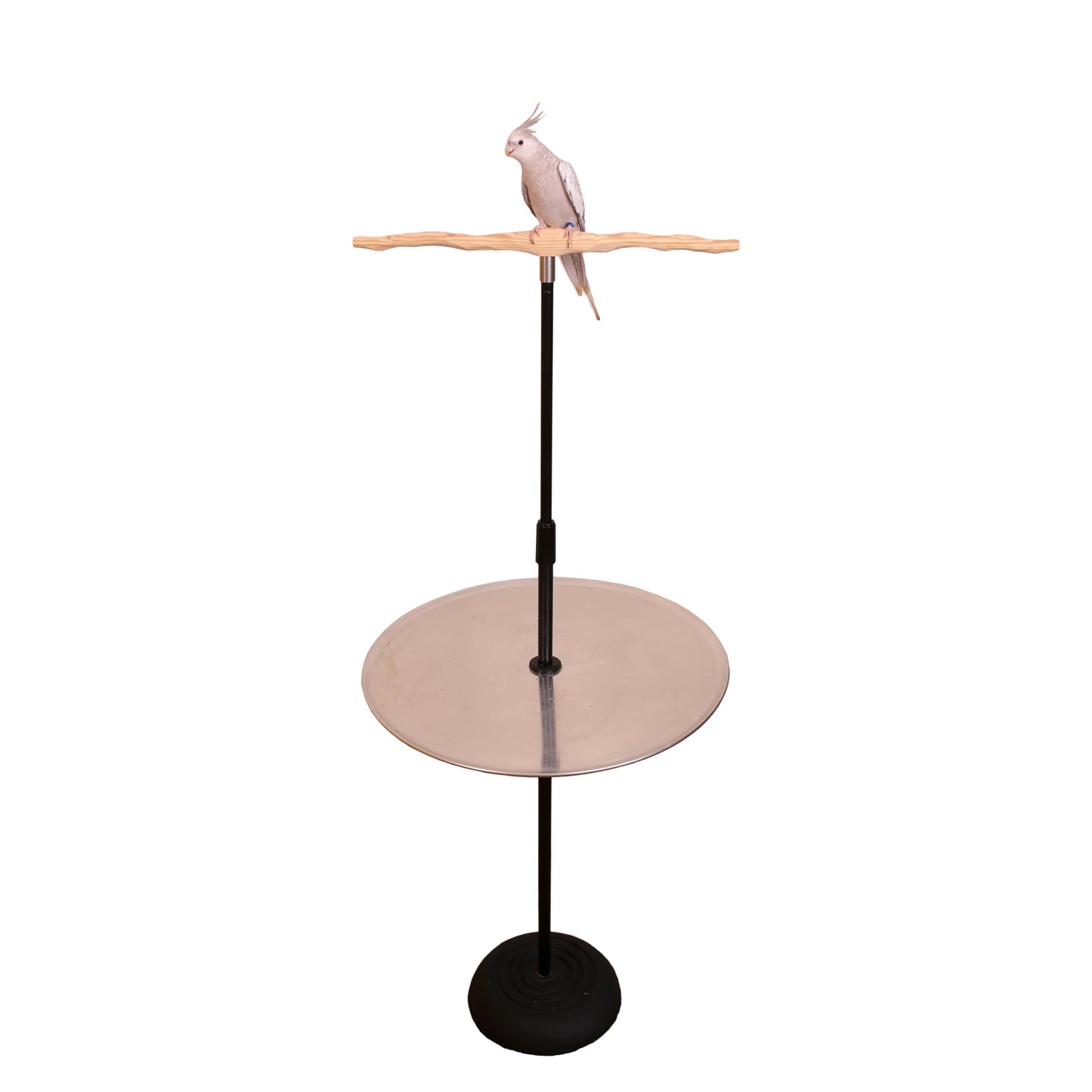 XL Parrot Training Perch with Potty Tray