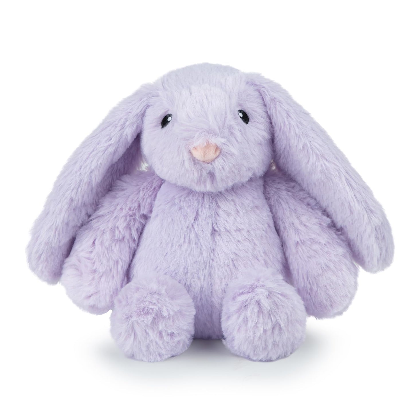 Duck Crinkle Dog Toy