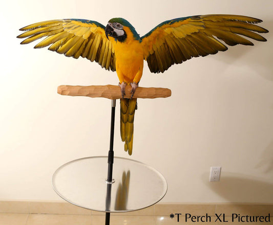 XL Parrot Training Perch with Potty Tray
