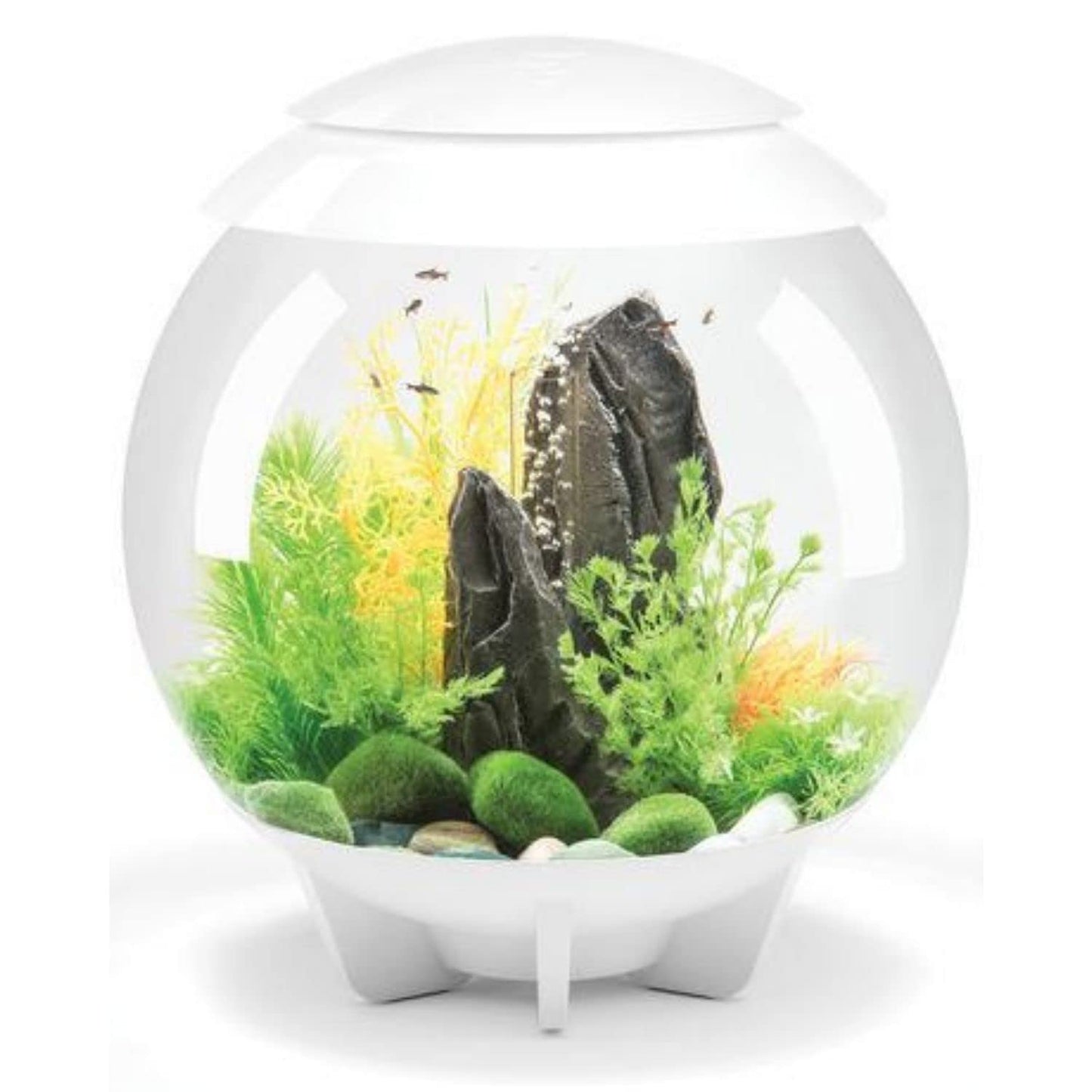 biOrb Halo 15 LED Tank, 4-Gal