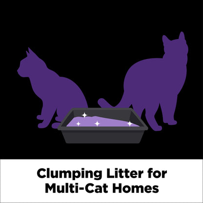 Arm & Hammer Multi-Cat Clumping Litter