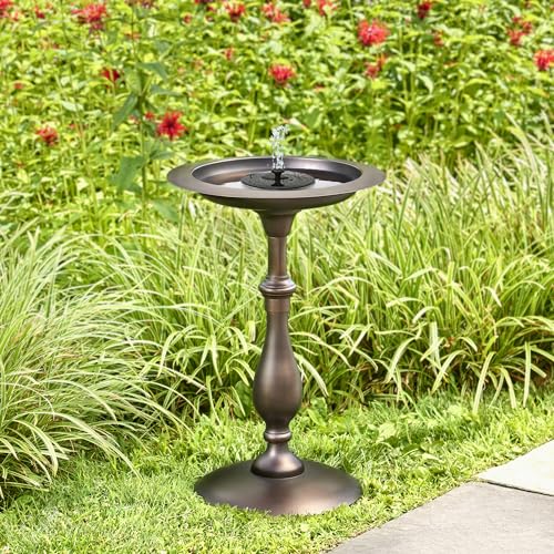 Bronze Buddha Bird Bath