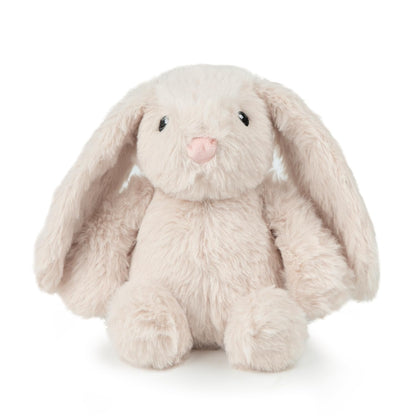 Duck Crinkle Dog Toy