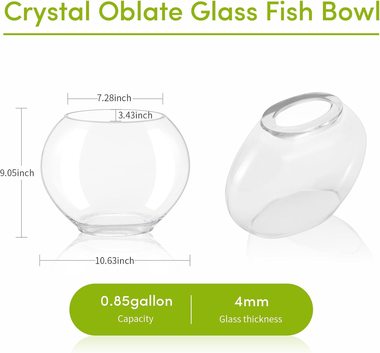 Mini Fish Bowl Kit with Decor