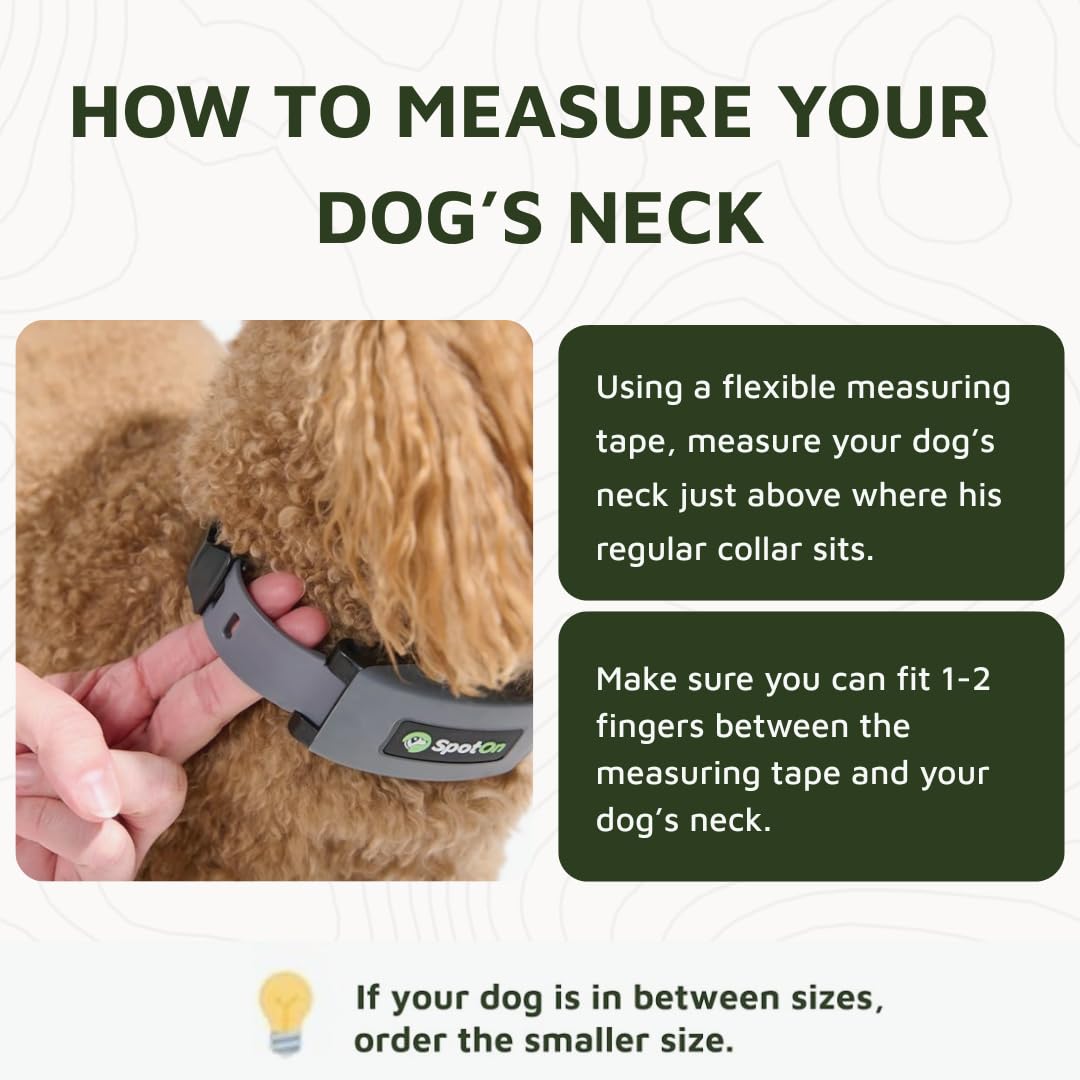 SpotOn GPS Wireless Dog Fence Collar, Accurate & Reliable, Unlimited Fences, Extended Battery Life Mode, No Subscription, Built in USA, Omni Collar Model, Large Dog Breed Neck Size 19"-26"