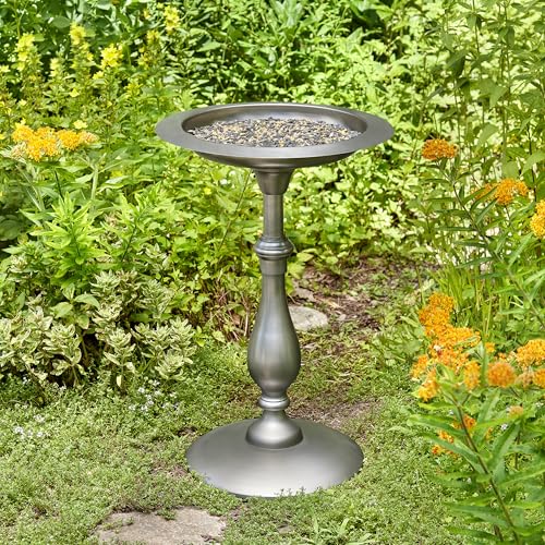 Bronze Buddha Bird Bath