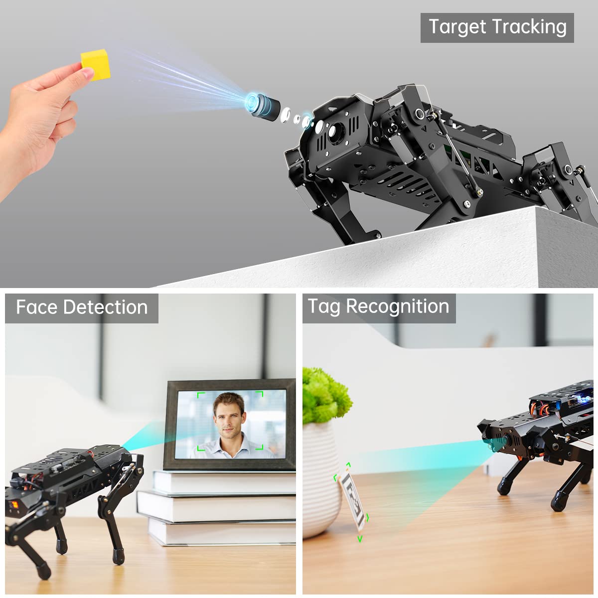 PuppyPi Robot Dog with ChatGPT Large AI Models AI Embodied Intelligence ROS Robotic Dog Vision Scene Voice Understanding SLAM Mapping Navigation Bionic Quadruped Robot, Pro Kit & RaspberryPi5 8GB