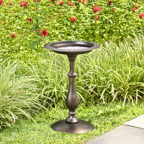 Bronze Buddha Bird Bath