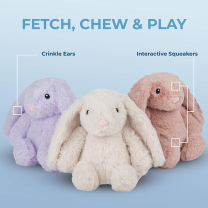 Duck Crinkle Dog Toy