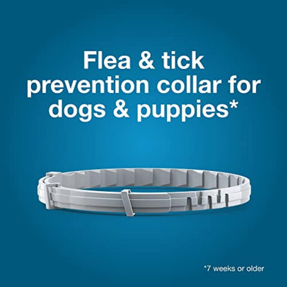Seresto Large Dog Flea Collar