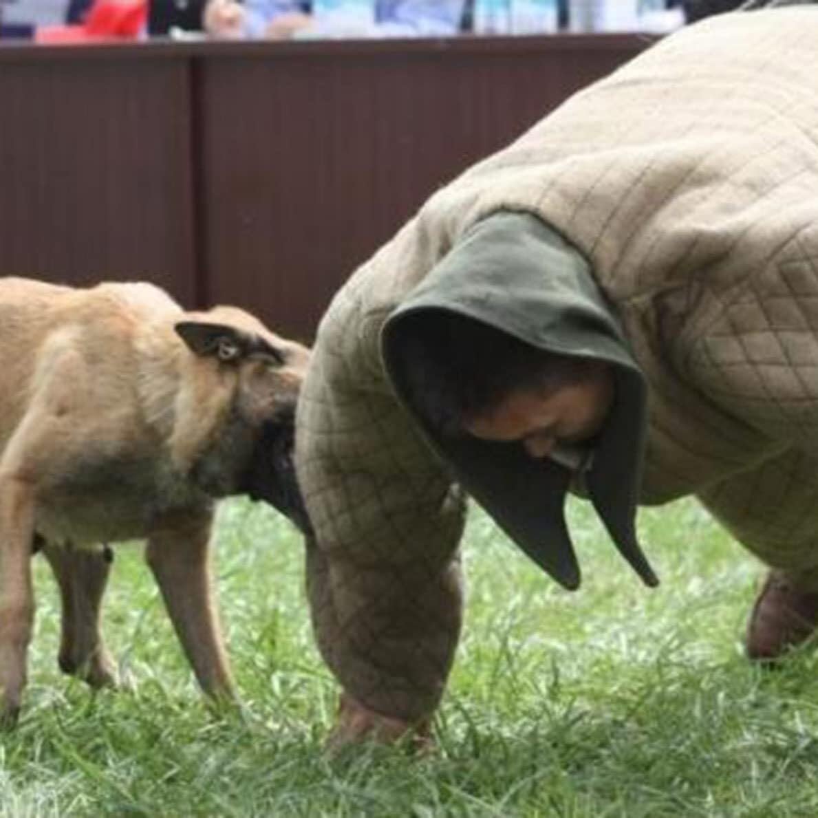 Dog Training Bite Suit – Unisex L