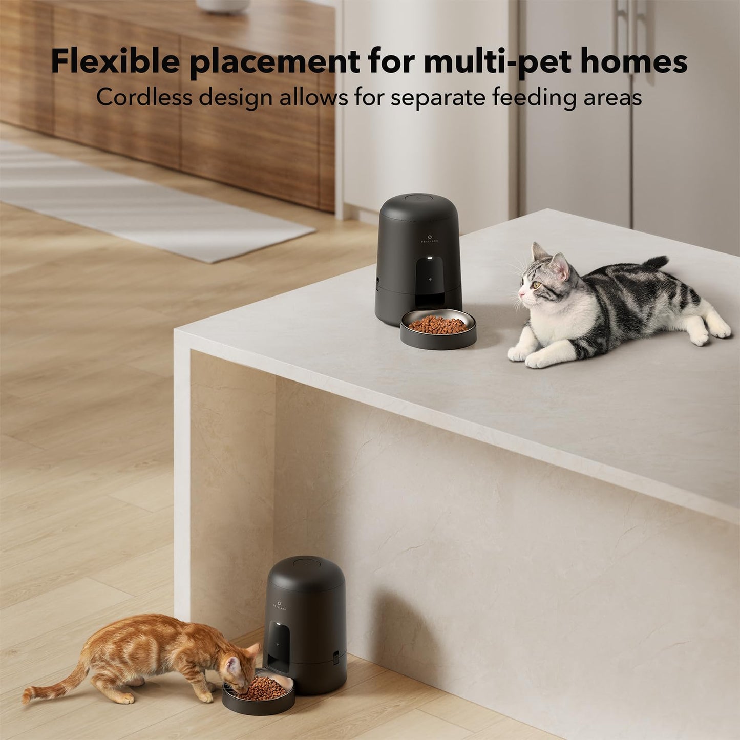 PETLIBRO 2L Wi-Fi Cat Feeder – Black