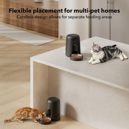 PETLIBRO 2L Wi-Fi Cat Feeder – Black