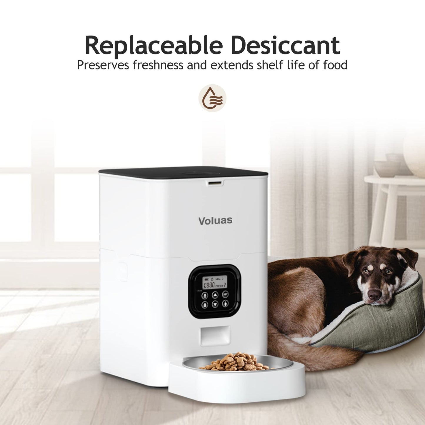 Auto Cat & Dog Feeder with Timer & Voice