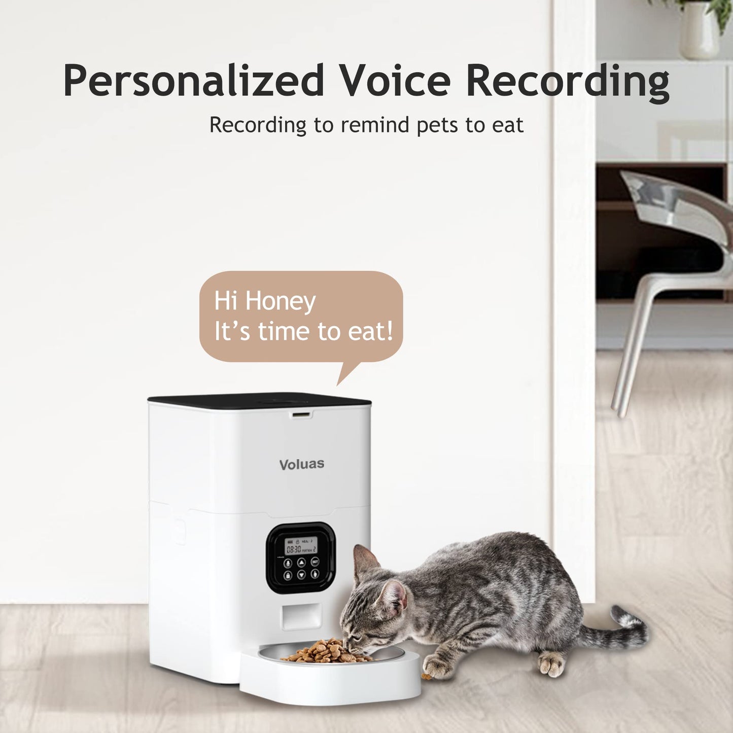Auto Cat & Dog Feeder with Timer & Voice