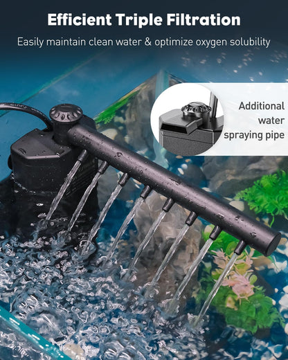 5 Gallon Rimless Aquarium Kit