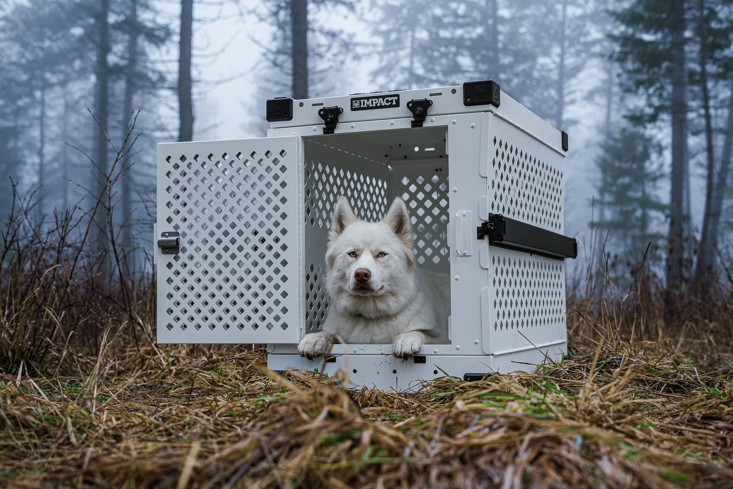 Impact Collapsible Dog Crate - Foldable Hard Crate for Large Dogs - Heavy Duty Travel Kennel with Powder-Coated Aluminum - Quick Setup for Indoor & Outdoor (Gray, 40" (40.5" L x 23" W x 29" H))