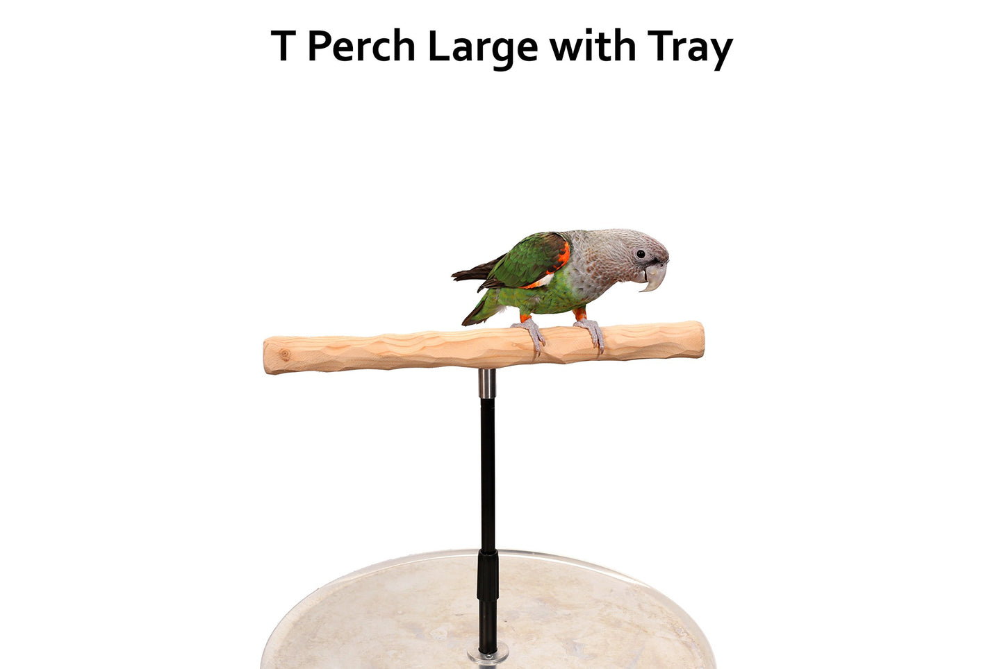 XL Parrot Training Perch with Potty Tray