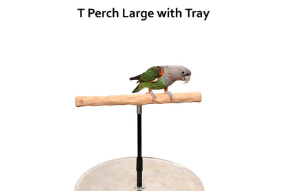 XL Parrot Training Perch with Potty Tray